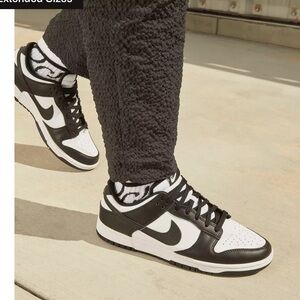 Nike Men's Dunk Low Shoes
